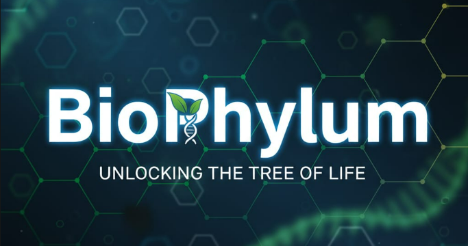 BioPhylum